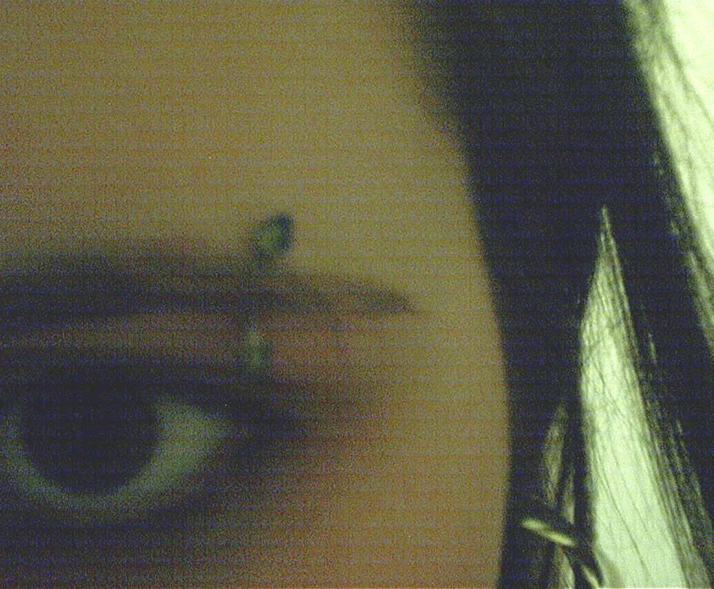 eyeeyebrow.jpg